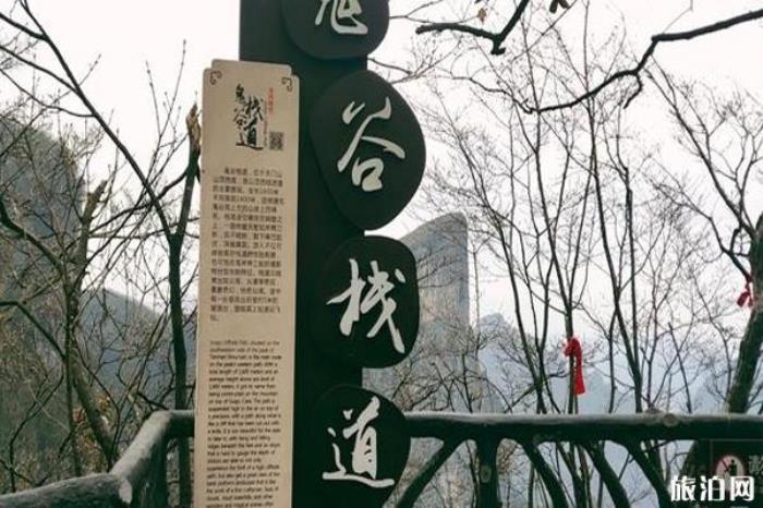 天門山國家森林公園景區 天門山國家森林公園景區