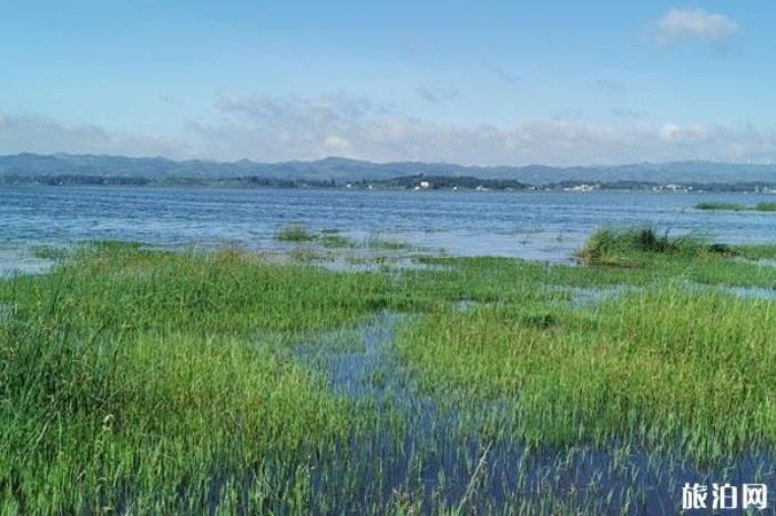 草海自然保護區 草海自然保護區