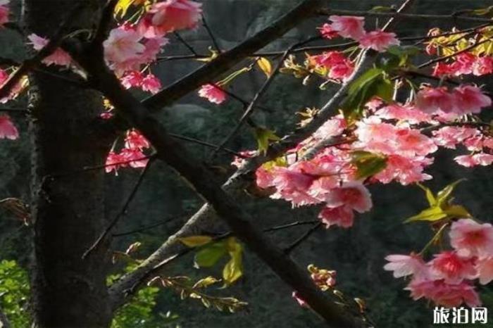 桂林南溪山公園