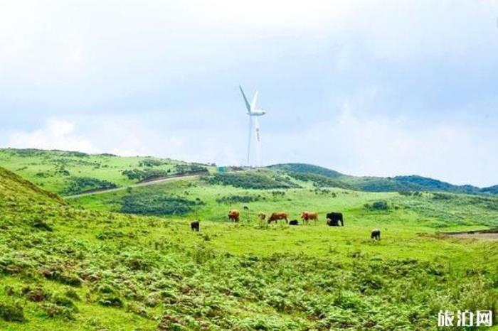 烏蒙大草原 烏蒙大草原