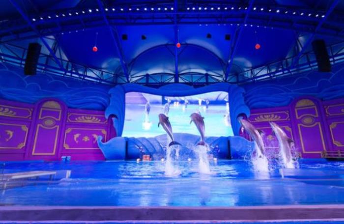 夢幻谷景區 夢幻谷景區