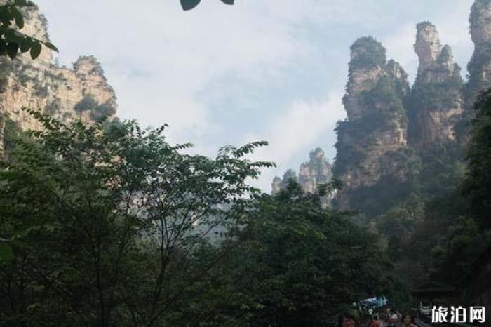 張家界十里畫(huà)廊景區(qū) 張家界十里畫(huà)廊景區(qū)