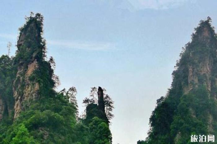 張家界十里畫(huà)廊景區(qū) 張家界十里畫(huà)廊景區(qū)