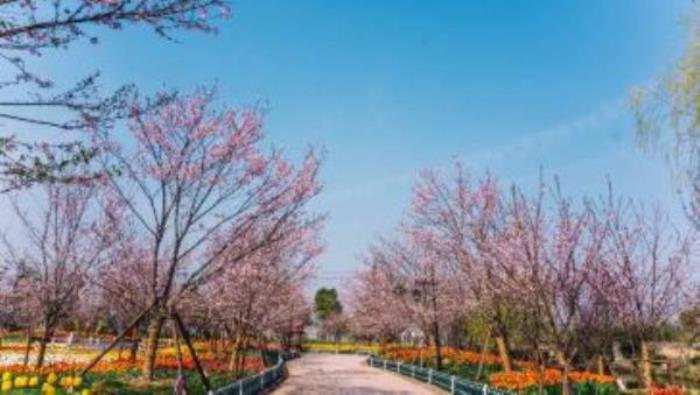 云瀾灣·四季花海樂園 云瀾灣·四季花海樂園