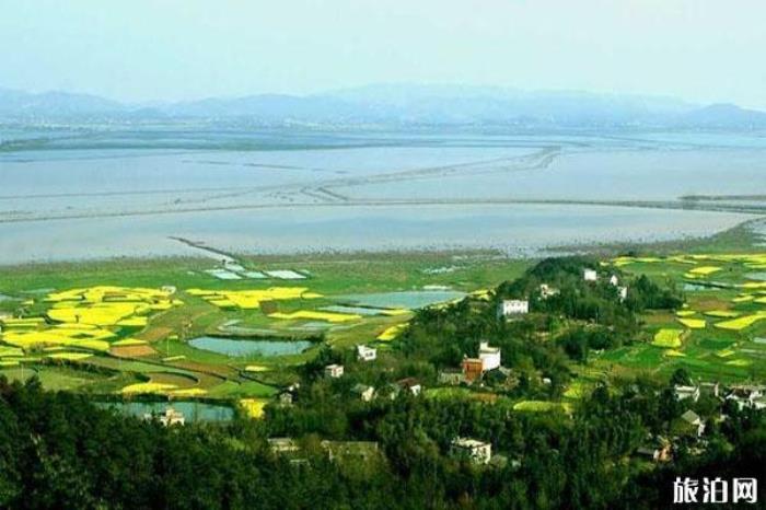 桐城嬉子湖生態旅游區 桐城嬉子湖生態旅游區