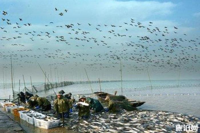 桐城嬉子湖生態旅游區 桐城嬉子湖生態旅游區