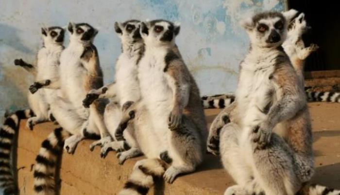 秦皇島野生動物園 秦皇島野生動物園