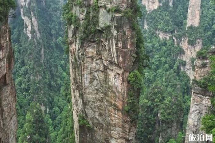 袁家界景區 袁家界景區