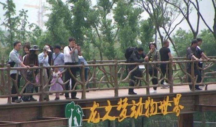 太湖龍之夢樂園 太湖龍之夢樂園