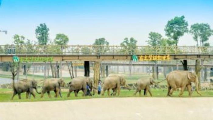 太湖龍之夢樂園 太湖龍之夢樂園