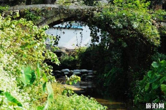 長(zhǎng)沙黑麋峰森林公園 長(zhǎng)沙黑麋峰森林公園