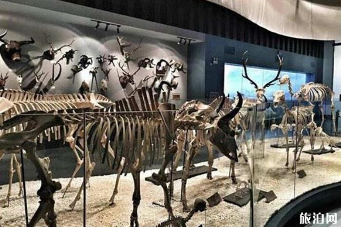 青藏高原自然博物館景區(qū)介紹 青藏高原自然博物館景區(qū)介紹