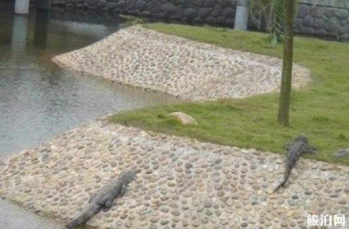 長沙生態(tài)動(dòng)物園 長沙生態(tài)動(dòng)物園