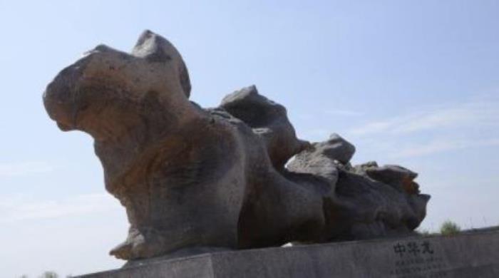 青銅峽黃河樓 青銅峽黃河樓