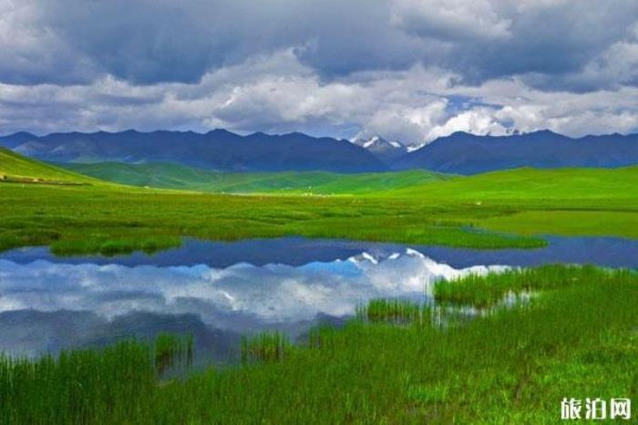 花海鴛鴦景區(qū)介紹