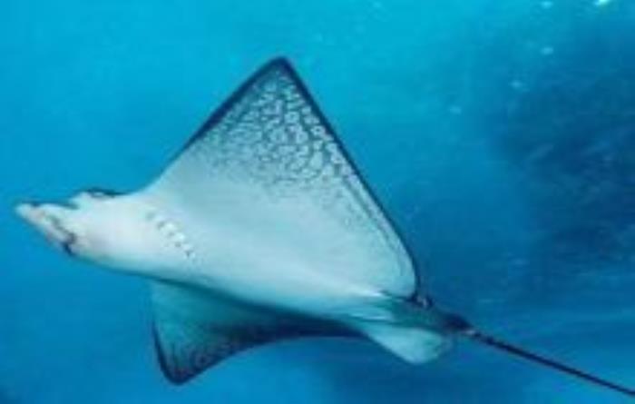 沙沙嘩啦海洋館山西景點(diǎn)