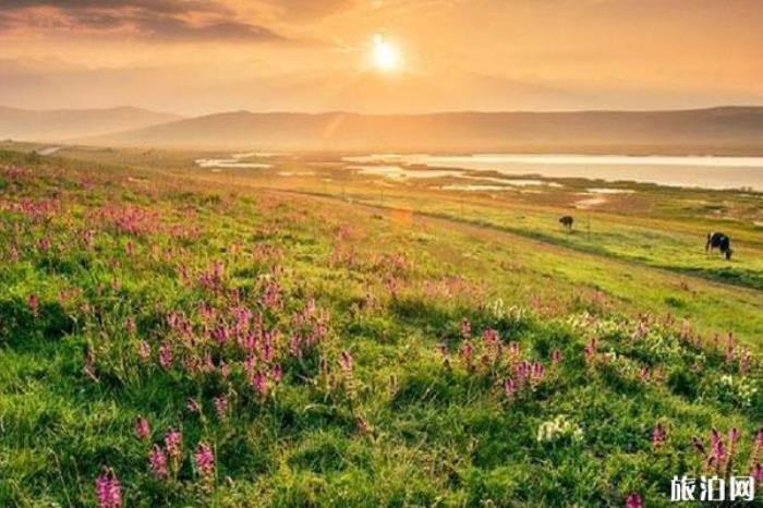 花海鴛鴦景區(qū)介紹 花海鴛鴦景區(qū)介紹