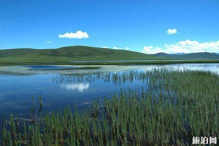 花海鴛鴦景區(qū)介紹 花海鴛鴦景區(qū)介紹