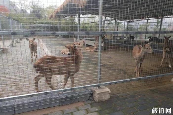 桂林大碧頭國(guó)際旅游度假區(qū)