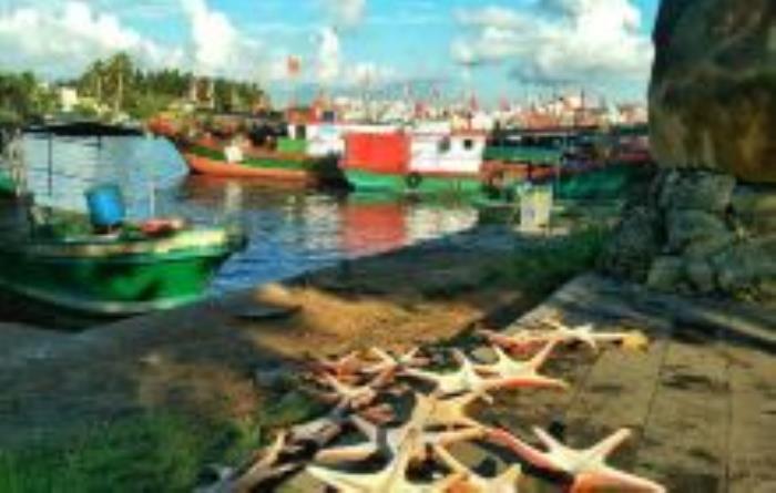 潭門中心漁港海南景點