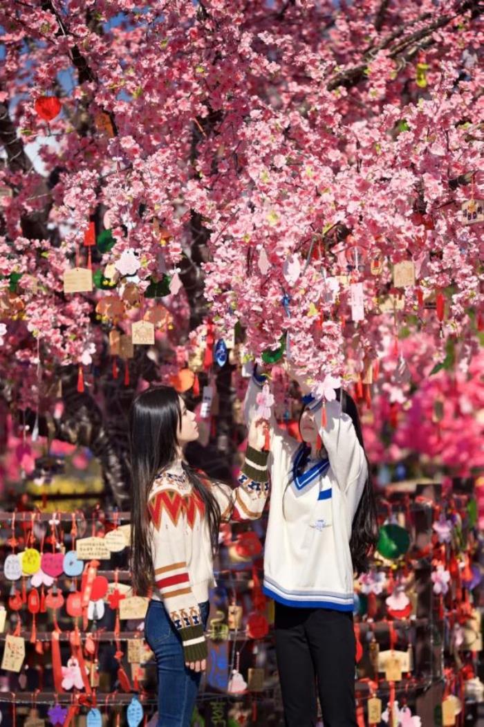 南京歡樂谷 南京歡樂谷