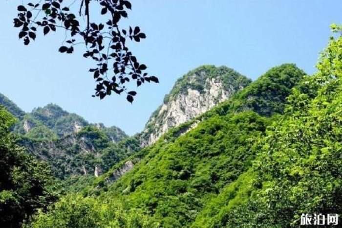 太平國家森林公園 太平國家森林公園