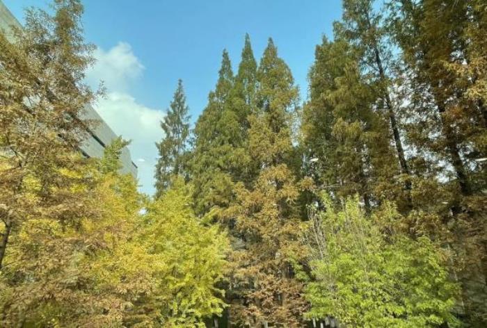 蘭溪-地下長河景區 蘭溪-地下長河景區