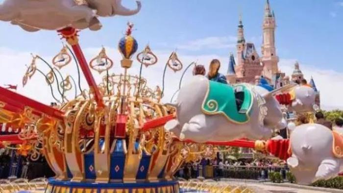 上海迪士尼樂園年卡 上海迪士尼樂園年卡