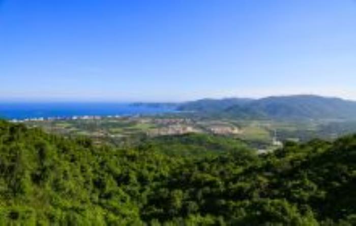 三亞熱帶天堂（鳥巢）海南景點(diǎn)