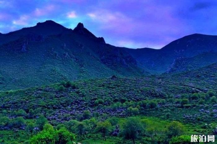 吐魯溝國家森林公園