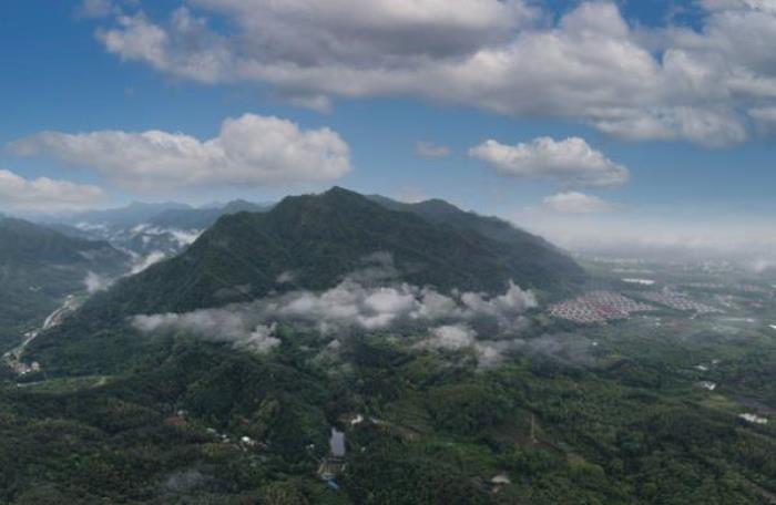 金華動物園 金華動物園