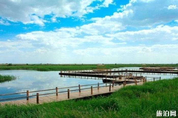 南海濕地景區 南海濕地景區