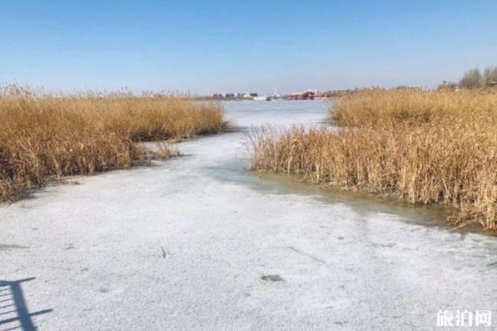 南海濕地景區 南海濕地景區