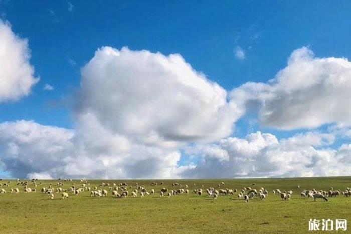 西烏珠穆沁草原
