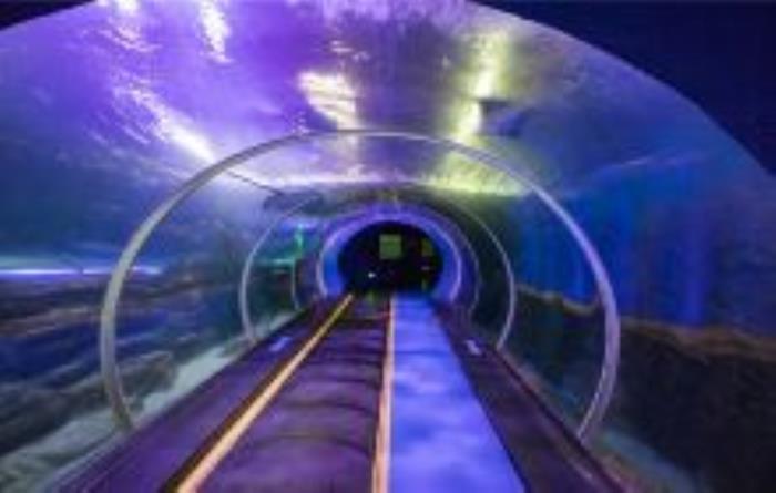 海底隧道山東景點