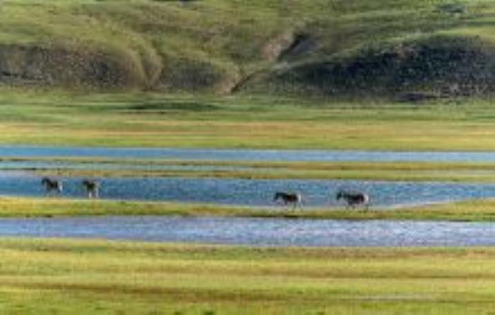 青海省三江源瑪多國(guó)家公園青海景點(diǎn) 青海省三江源瑪多國(guó)家公園青海景點(diǎn)