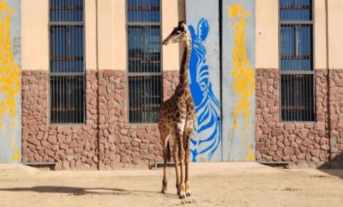 蘭州野生動物園 蘭州野生動物園