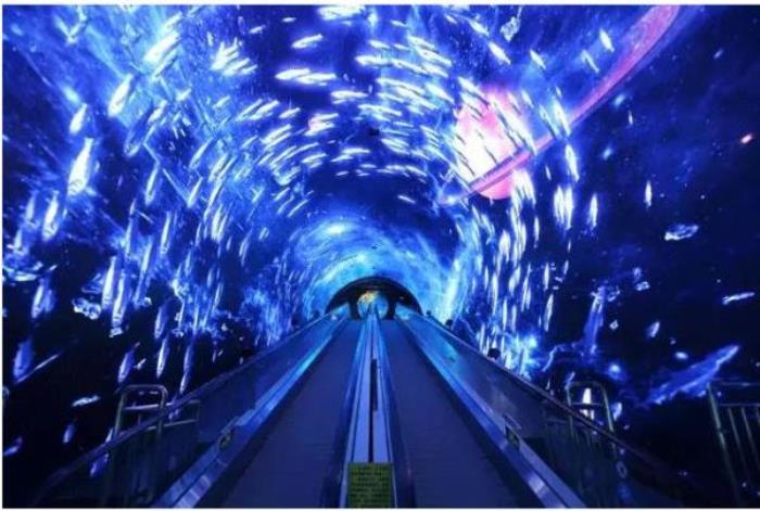 正佳極地海洋世界 正佳極地海洋世界