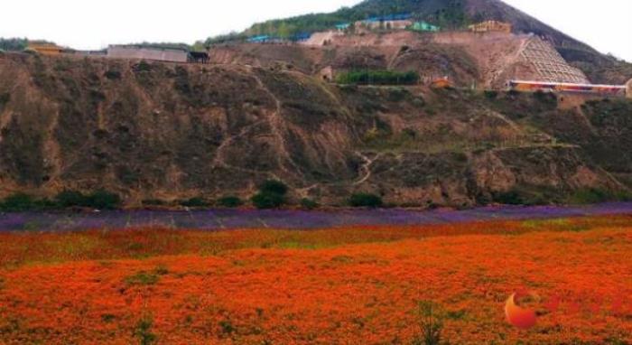 蘭州野生動物園 蘭州野生動物園