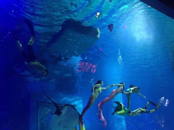 正佳極地海洋世界 正佳極地海洋世界