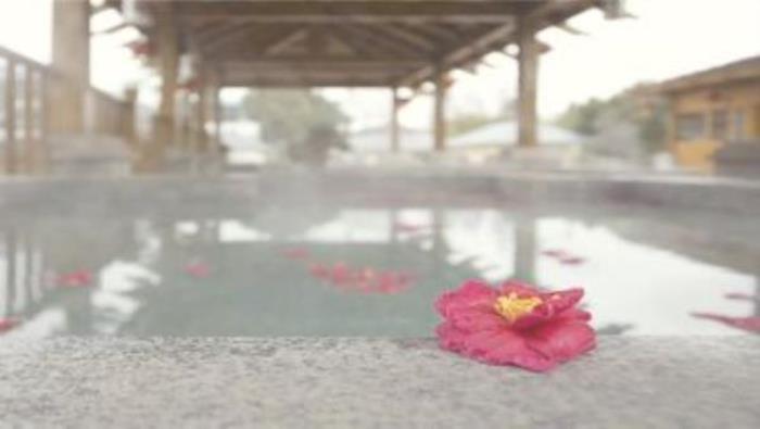 湯山一號溫泉度假區 湯山一號溫泉度假區