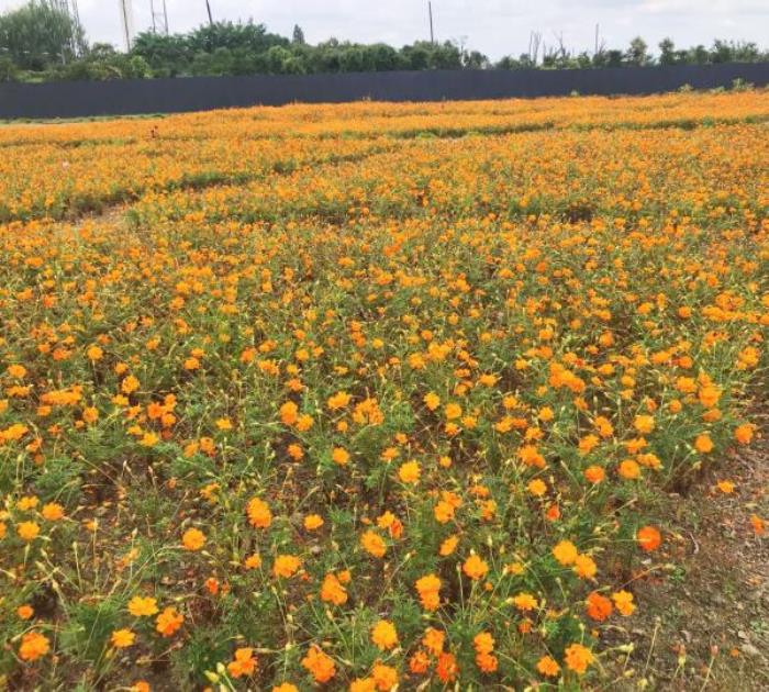 寧波-梁祝文化公園