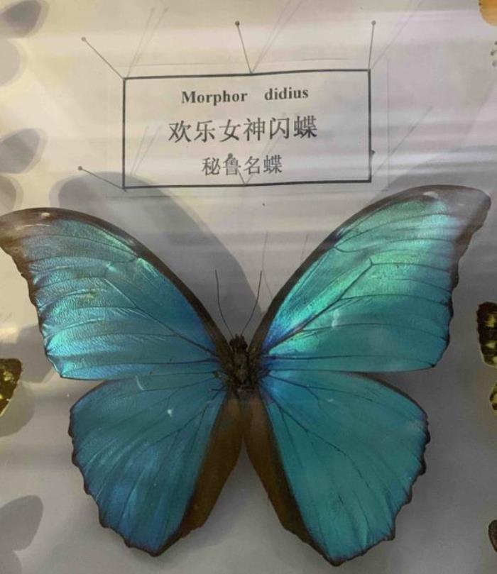 寧波-梁祝文化公園