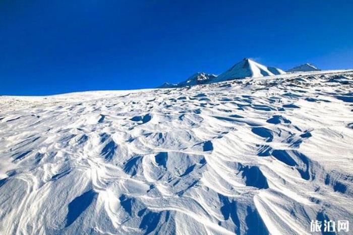 崗什卡雪峰景區 崗什卡雪峰景區