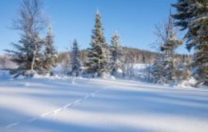 小興安嶺林區黑龍江景點