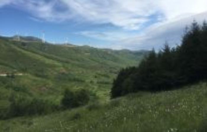 石龍山森林公園黑龍江景點