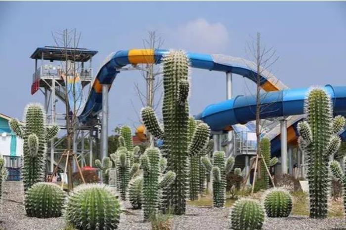 安吉歡樂風暴水上樂園 安吉歡樂風暴水上樂園