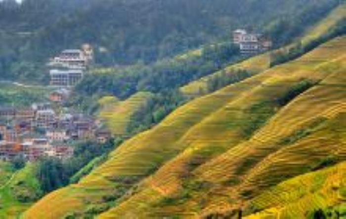 金佛頂觀景點廣西景點