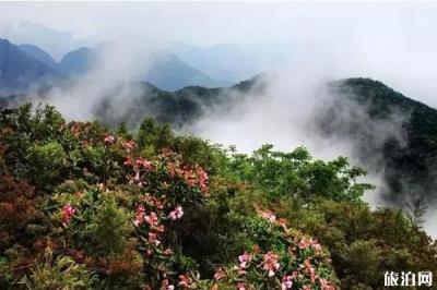 廣西貓兒山景區