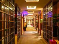 【孫婷】做商務伴游要先交錢嗎，明星商務分享模特訪夢